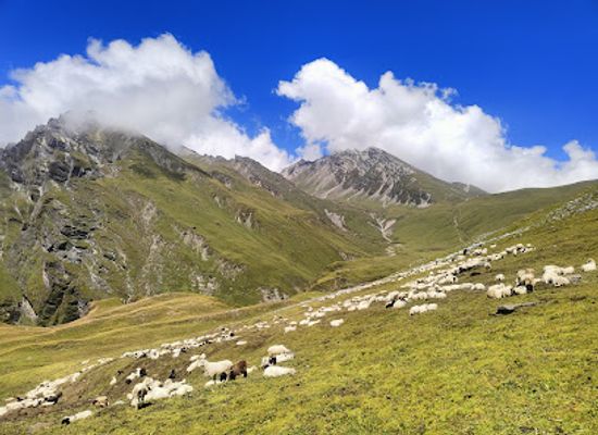 nepal/dolpo/attraction/kanchi-jangla-pass