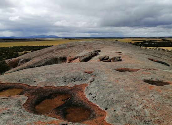 australia/north-east-south-australia/attraction/mt-wudinna