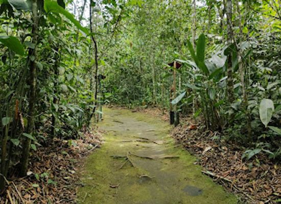 colombia/risaralda-department/attraction/universidad-tecnologica-de-pereira-botanical-garden