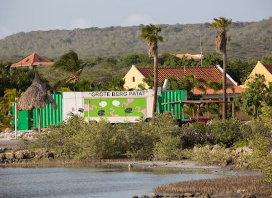 curacao/jan-thiel-beach/attraction/flamingos