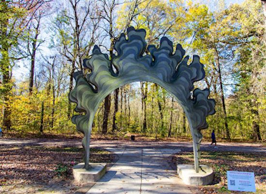 tennessee/hatchie-river-area/attraction/old-forest-state-natural-area