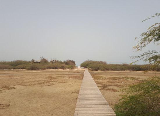 senegal/saint-louis-region/attraction/langue-de-barbarie-national-park