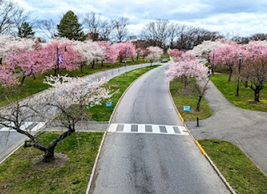new-jersey/north-jersey/attraction/branch-brook-park