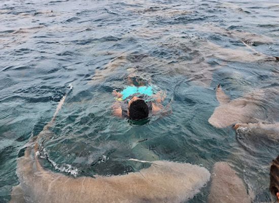 maldives/hithadhoo-island/attraction/kodiah-elhi-falhu