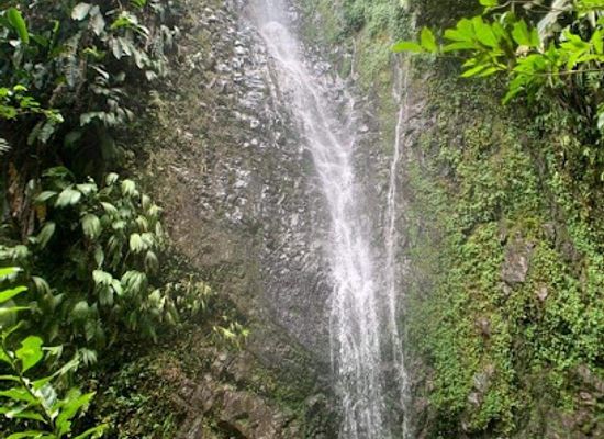 saint-vincent-and-the-grenadines/la-soufriere/attraction/petit-wallibou-waterfall