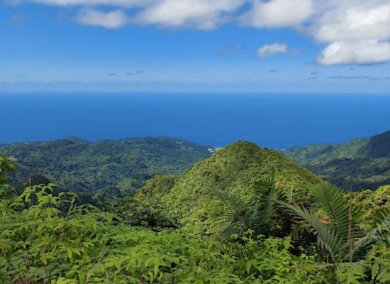 grenada/saint-david/attraction/mt-st-catherine