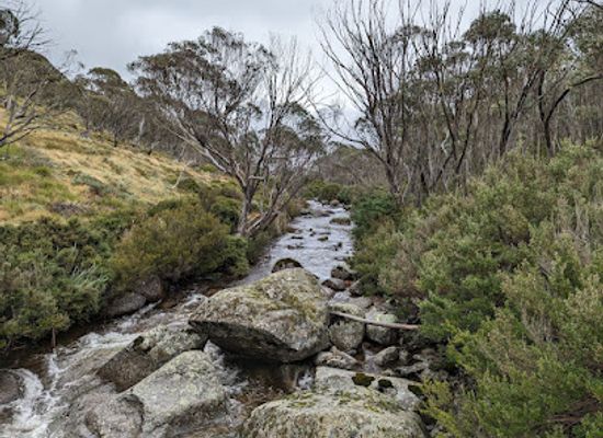australia/mount-kosciuszko/attraction/thredbo-river-track