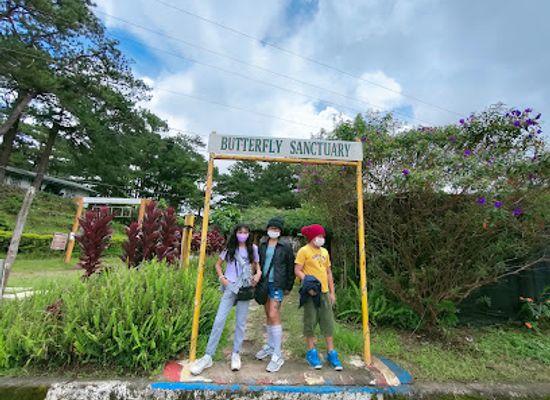 philippines/baguio/camp-john-hay/attraction/butterfly-sanctuary