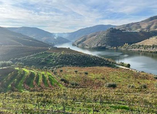portugal/lamego/attraction/cmtour-douro-valley-tours