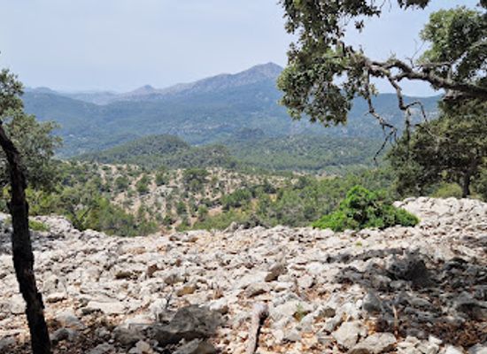 spain/serra-de-tramuntana/attraction/sobremunt-sunset