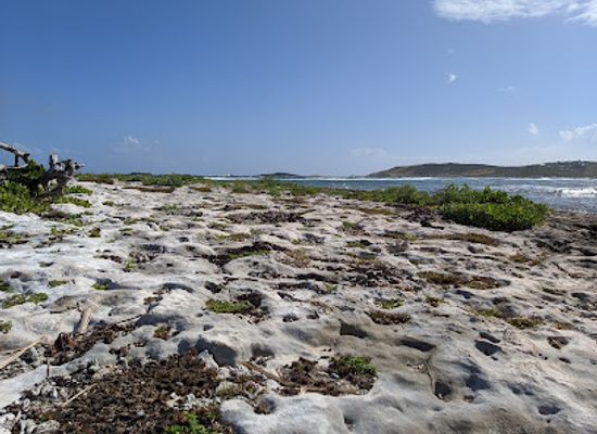 sint-maarten/le-galion-beach/attraction/le-gallon
