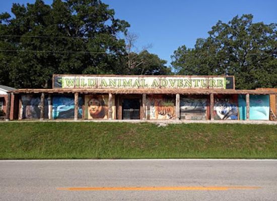 missouri/meramec-caverns/attraction/wild-animal-adventures