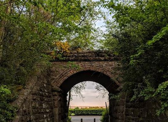 united-kingdom/dundee/attraction/broughty-ferry-nature-reserve