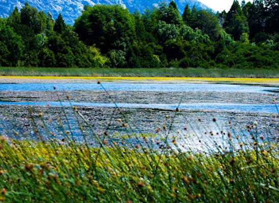 argentina/nahuel-huapi-national-park/attraction/lago-morenito