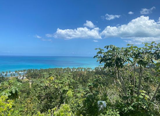 dominican-republic/samana-peninsula/attraction/mirador-del-atlantico-las-terrenas