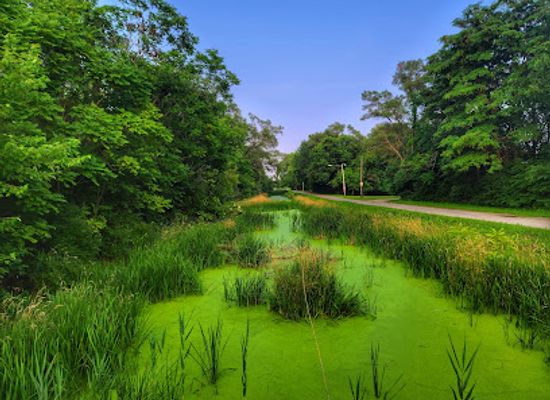 illinois/illinois-river-valley/attraction/i-m-canal-state-trail-access-utica