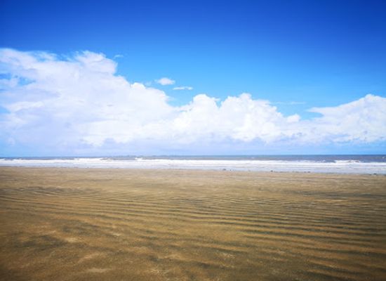 kenya/lamu-archipelago/attraction/baharini