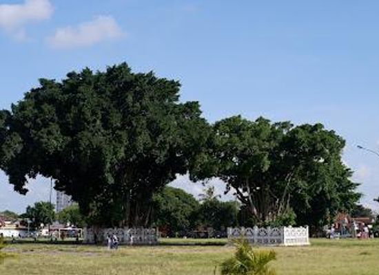 indonesia/yogyakarta/attraction/alun-alun-kidul-yogyakarta
