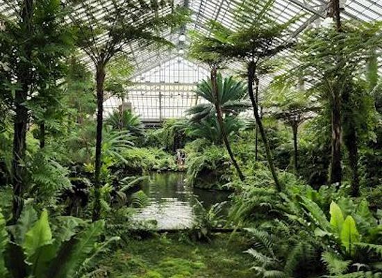 illinois/bolingbrook/attraction/garfield-park-conservatory