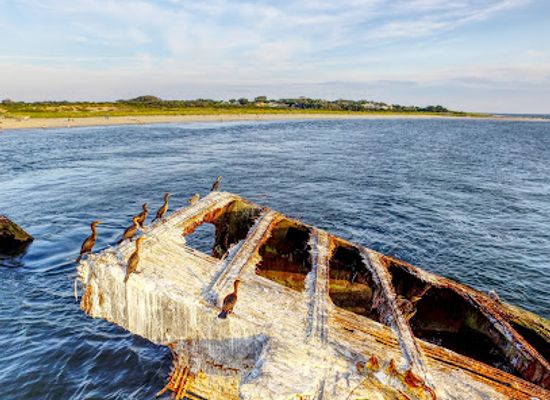 new-jersey/cape-may-peninsula/attraction/sunset-beach