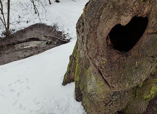 finland/uusimaa/attraction/cathedral-of-the-nature