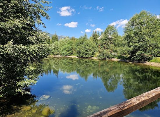 slovakia/tatras/attraction/liptov-village-museum-pribylina
