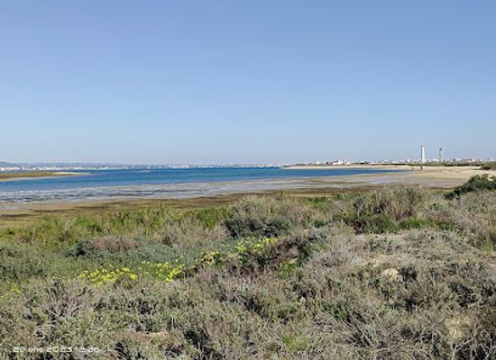 portugal/ria-formosa-natural-park/attraction/boardwalk