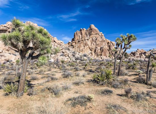 california/southern-california/attraction/hidden-valley-nature-trail-trailhead
