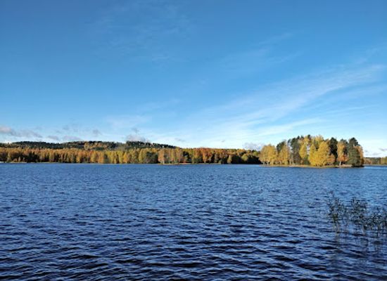 finland/jyvaskyla/attraction/viitaniemi