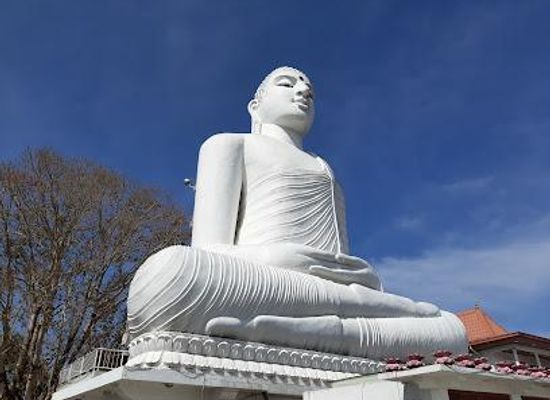 sri-lanka/kandy/attraction/sri-maha-bodhi-viharaya