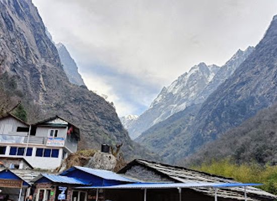nepal/annapurna-circuit/attraction/bamboo