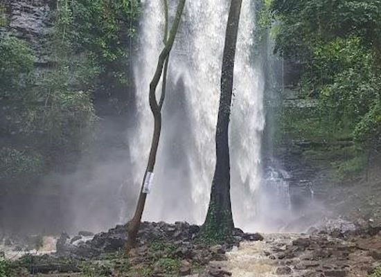 ghana/koforidua/attraction/asenema-waterfalls