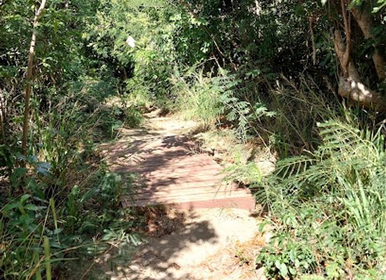 british-virgin-islands/spanish-town/attraction/pond-bay-beach-trail