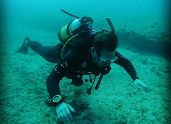 cabo-verde/sal/attraction/cabo-verde-diving-melia-tortuga-dunas