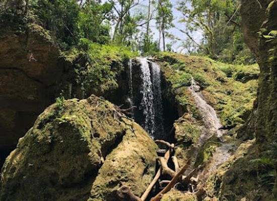 puerto-rico/central-mountain-range/attraction/cuevas-arenales