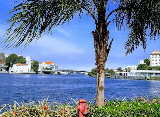 brazil/rio-de-janeiro/attraction/aquario