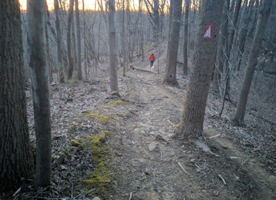 ohio/wayne-national-forest/attraction/dale-jackie-riddle-state-nature-preserve