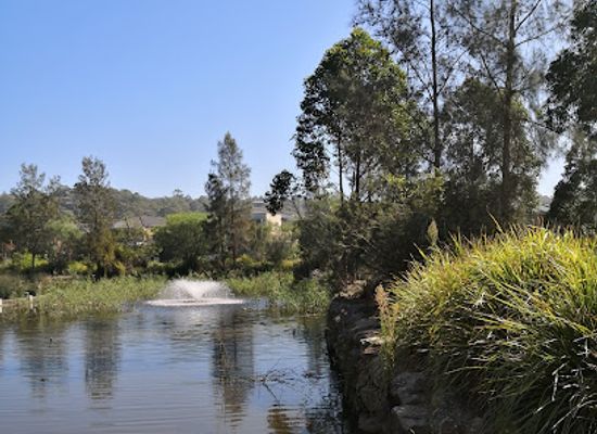 australia/sydney-basin/attraction/warriewood-wetlands