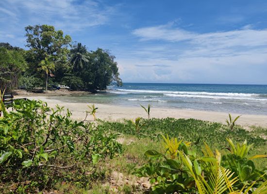 costa-rica/caribbean-coast/attraction/parque-nacional-cahuita