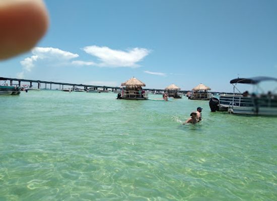 florida/destin-beach/attraction/gator-beach-the-world-s-greatest-alligator-park
