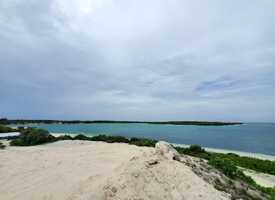 maldives/haa-alif-atoll/attraction/baarashu-usfasgandu