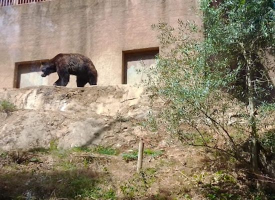 portugal/serra-da-lousa/attraction/ecological-park-serra-da-lousa