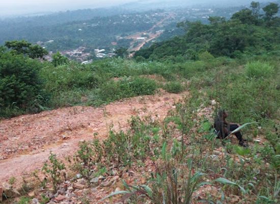 ghana/volta-region/attraction/likpe-todome