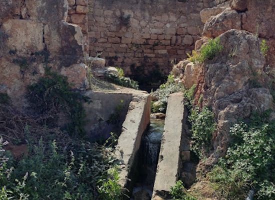 lebanon/south-lebanon/attraction/tyre-coast-nature-reserve