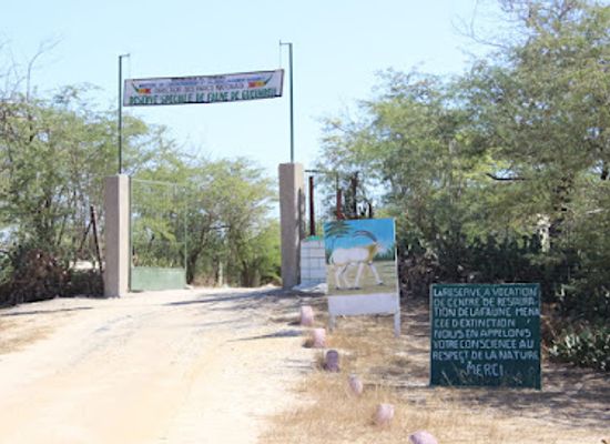 senegal/saint-louis-region/attraction/reserve-speciale-de-faune-de-gueumbeul