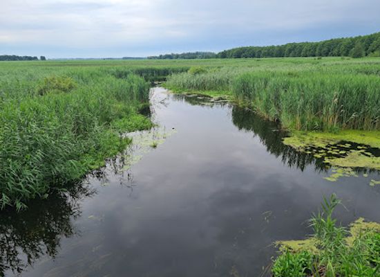 poland/podlachia/attraction/narew-national-park
