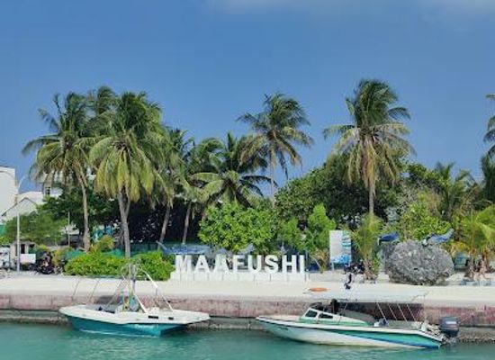 maldives/guraidhoo/attraction/maafushi