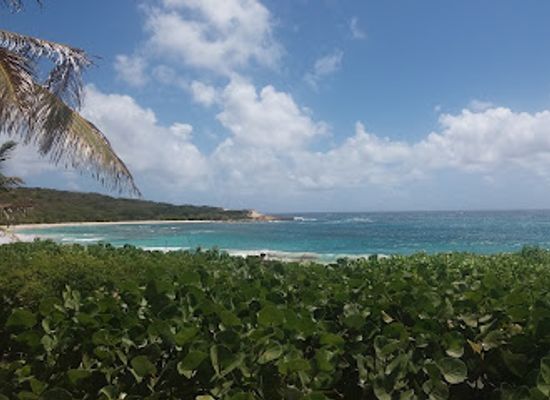 antigua-and-barbuda/barbuda/attraction/indian-town-point