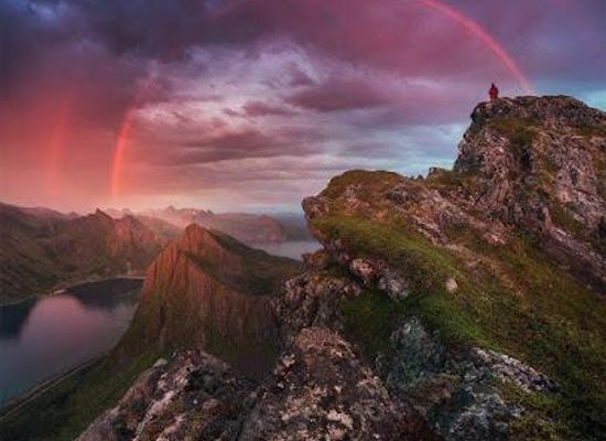 norway/senja-island/attraction/anderdalen-national-park