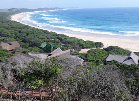 mozambique/matola/attraction/maputo-special-reserve